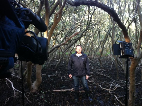 Getting ready for a live cross to Weekend Today (Channel 9) but what you cannot see in this shot is the hundreds of mosquitoes that were swarming around me, standing in the middle of the mangroves for 20min getting ready for the segment attracted plenty of mozzie attention!